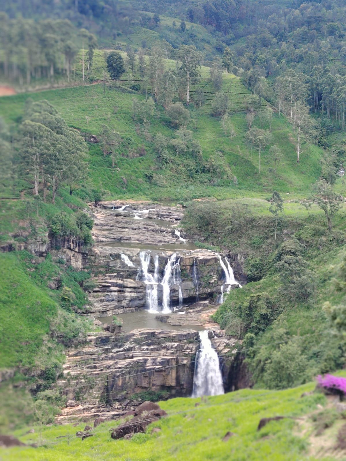 Madu Ganga River