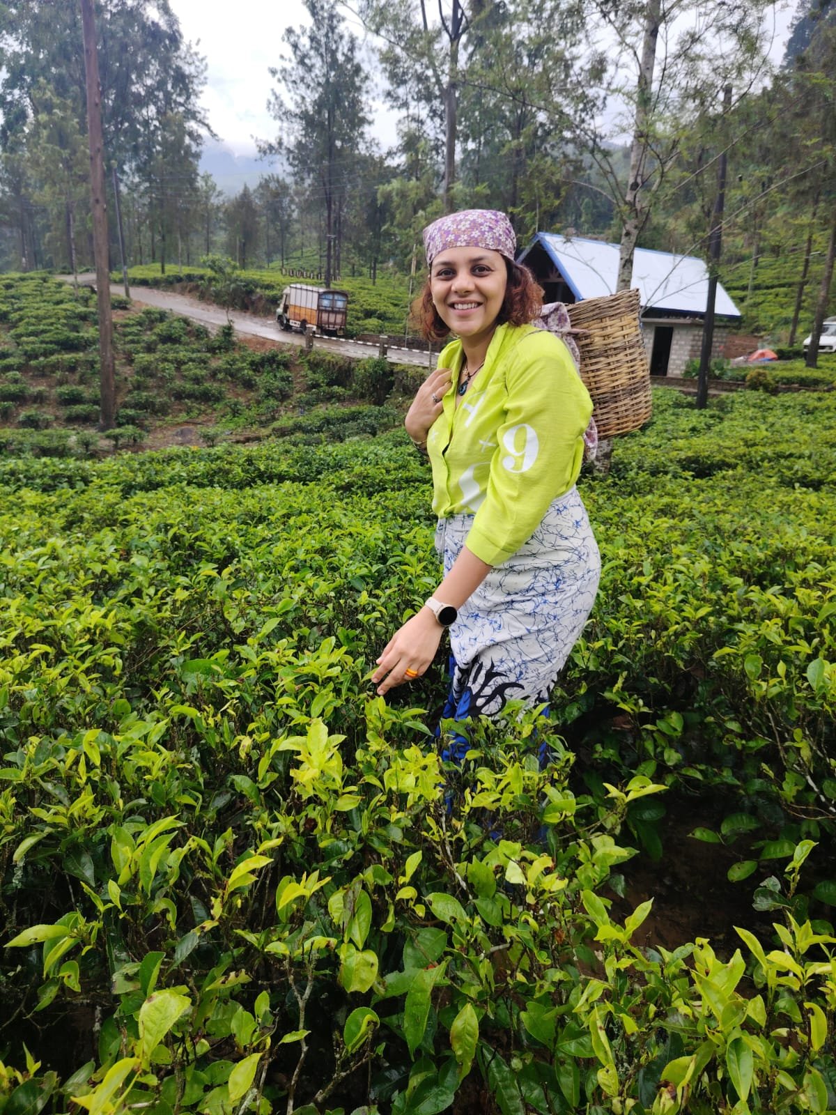Nuwara Eliya Tea Highlands