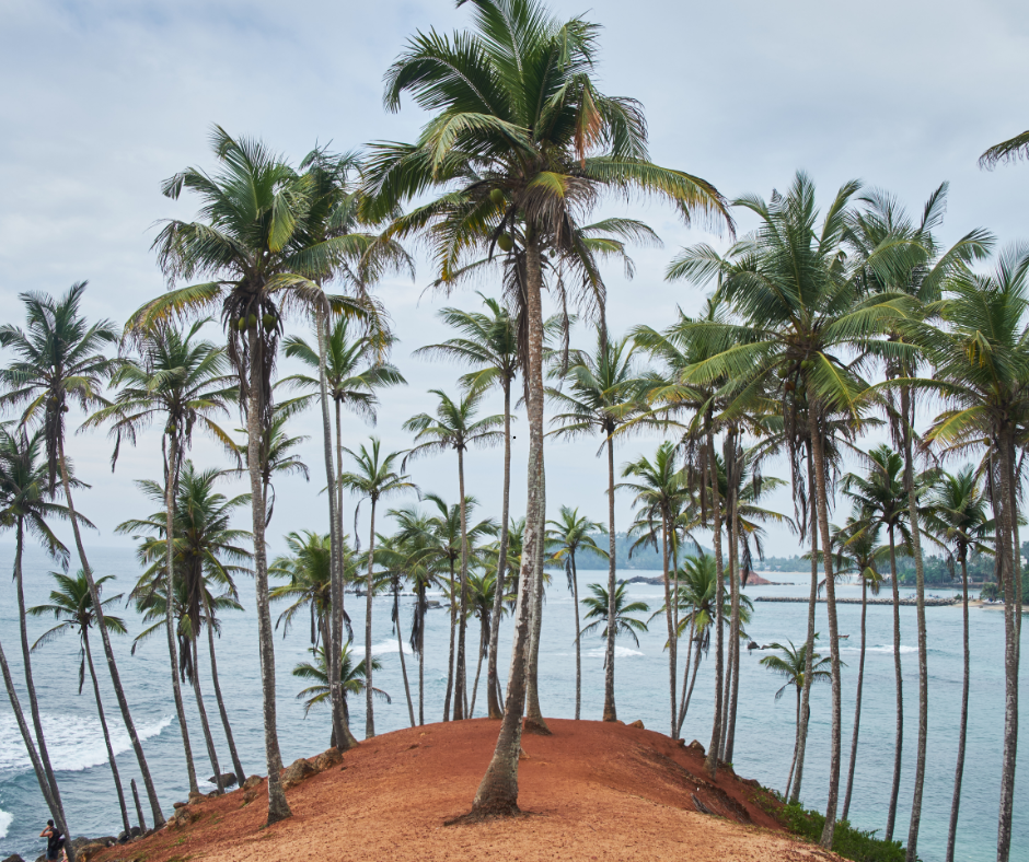 Mirissa Beach