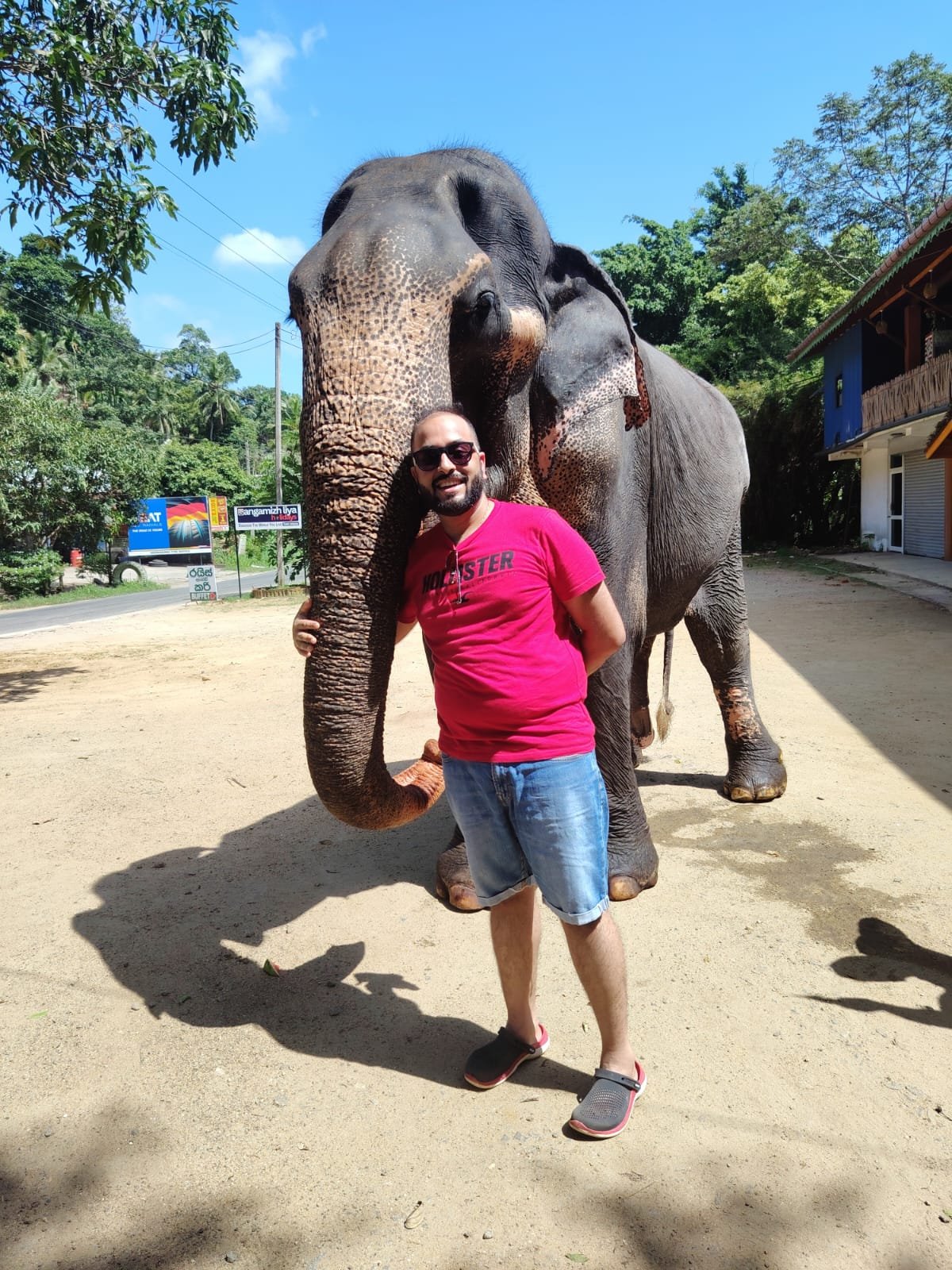 Pinnawala Elephant Orphanage