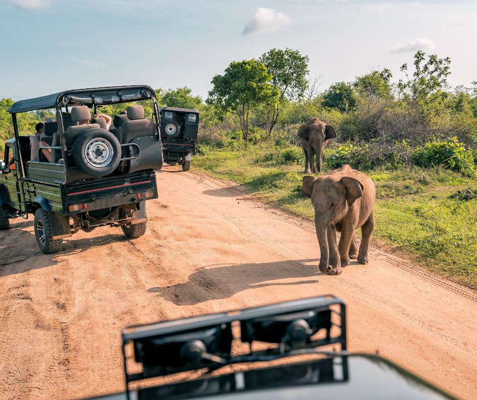 Adventure Tours
