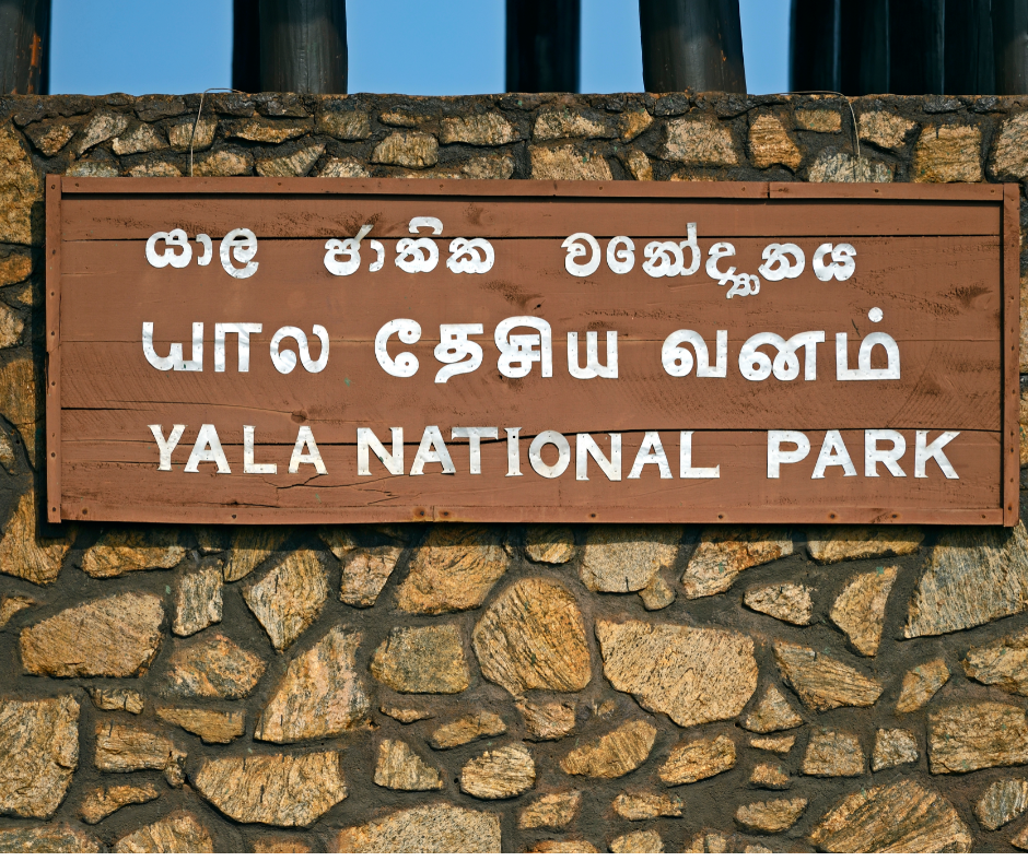 Yala National Park
